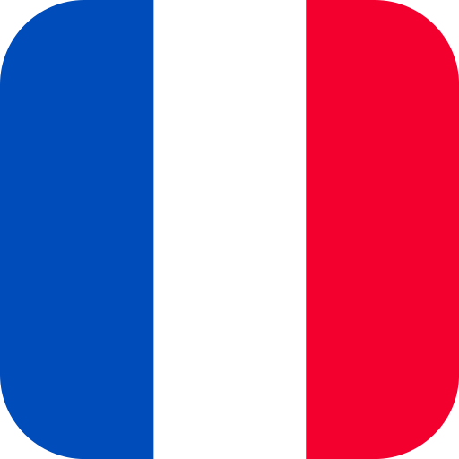 Icon to access the French version